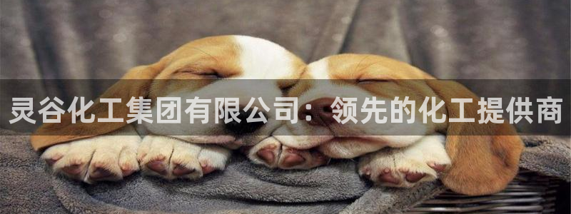 球盟会qmh网址：灵谷化工集团有限公司：领先的化工提供商