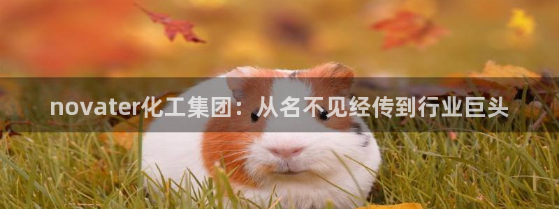 球盟会头号玩家