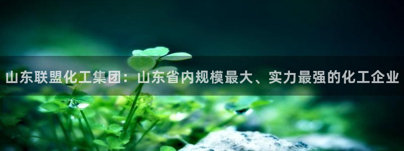 球盟会qmh电子网页版登录：山东联盟化工集团：山东省内规模最