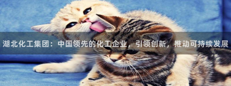 球盟会能提现吗是真的吗：湖北化工集团：中国领先的化工企业，引
