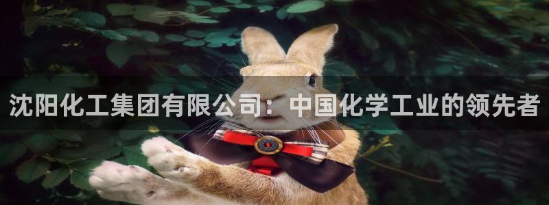 球盟会官方app首页入口：沈阳化工集团有限公司：中国化学工业