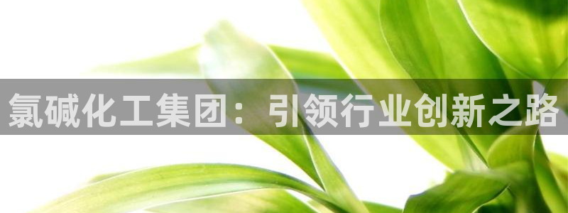 球盟会网页登录入口