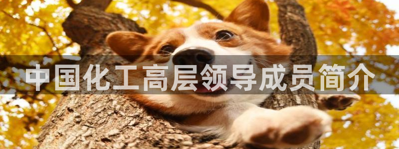 球盟会qmh网页版登录 - qm球盟会官方网站