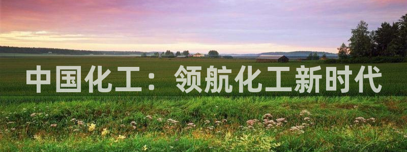 球盟会下载最新版：中国化工：领航化工新时代
