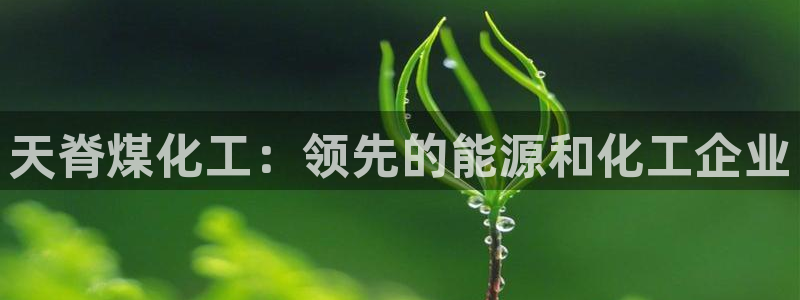 球盟会下款快吗：天脊煤化工：领先的能源和化工企业