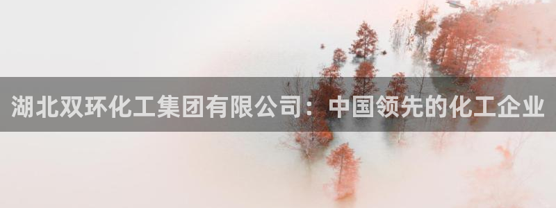 球盟会游戏几点玩合适：湖北双环化工集团有限公司：中国领先的化