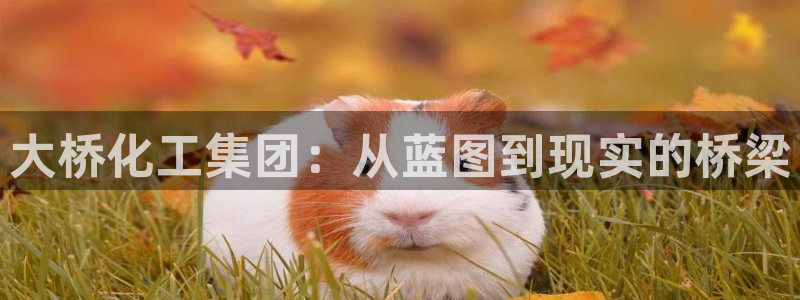 球盟会qmh官网：大桥化工集团：从蓝图到现实的桥梁