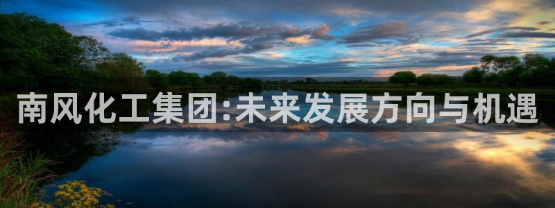 球盟会有没有黑单的球员：南风化工集团:未来发展方向与机遇