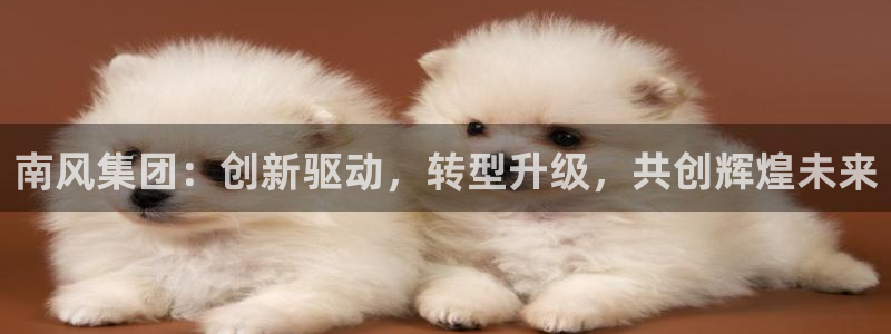 球盟会可以提现么现在：南风集团：创新驱动，转型升级，共创辉煌