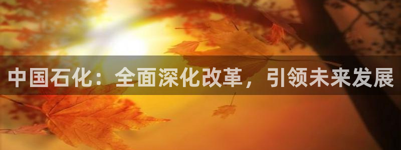 球盟会官方最新入口：中国石化：全面深化改革，引领未来发展