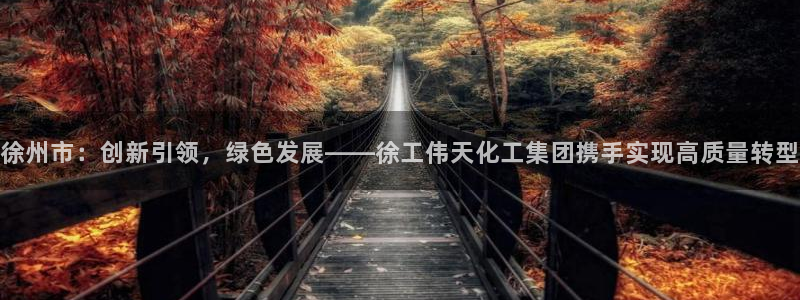 球盟会黑台子吗：徐州市：创新引领，绿色发展——徐工伟天化工集