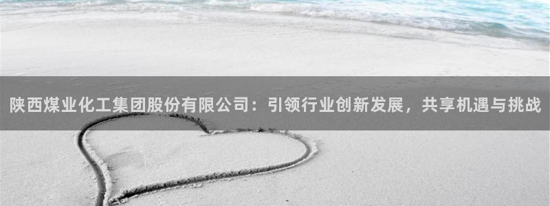 球盟会有没有黑单的人：陕西煤业化工集团股份有限公司：引领行业