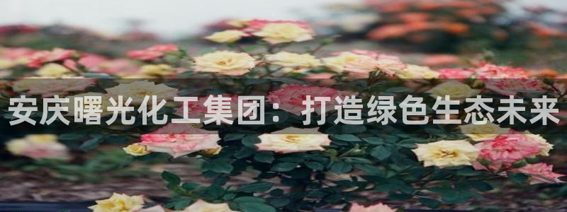 球盟会电子：安庆曙光化工集团：打造绿色生态未来