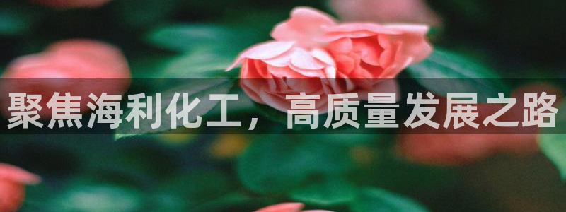 球盟会官方：聚焦海利化工，高质量发展之路