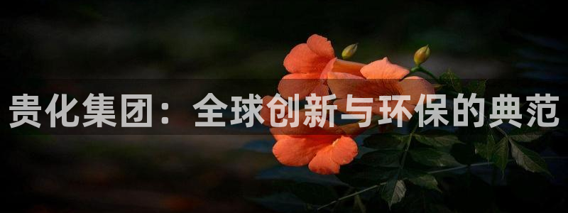 球盟会电子好下吗：贵化集团：全球创新与环保的典范