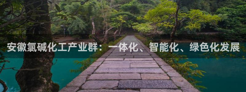 球盟会官方网站是什么：安徽氯碱化工产业群：一体化、智能化、绿