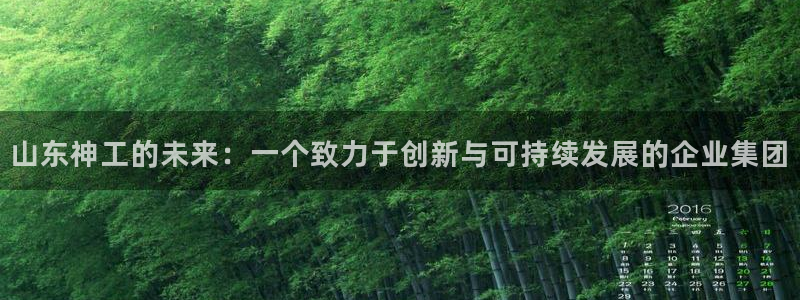 球盟会有没有黑单的人：山东神工的未来：一个致力于创新与可持续