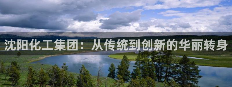 球盟会优惠码：沈阳化工集团：从传统到创新的华丽转身