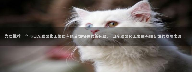 球盟会进不去球员吗：为您推荐一个与山东联盟化工集团有限公司相