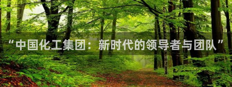 球盟会入口：“中国化工集团：新时代的领导者与团队”