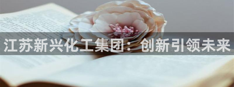 球盟会黑款吗还是白款：江苏新兴化工集团：创新引领未来