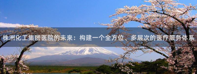 球盟会电子好黑：株洲化工集团医院的未来：构建一个全方位、多层
