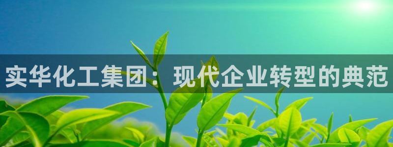 千亿球盟会：实华化工集团：现代企业转型的典范