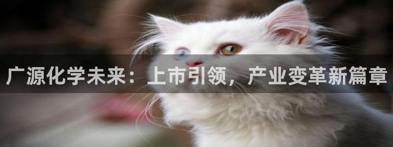 球盟会地址：广源化学未来：上市引领，产业变革新篇章