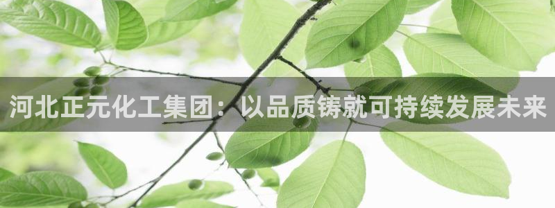 球盟会在线登录：河北正元化工集团：以品质铸就可持续发展未来