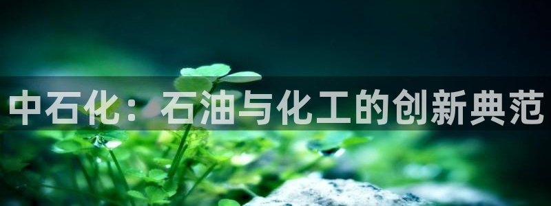 球盟会app安装：中石化：石油与化工的创新典范