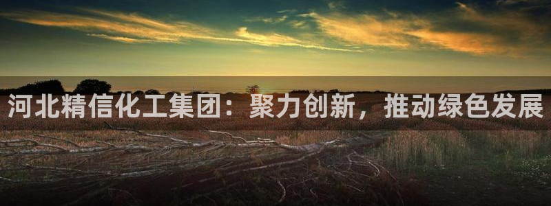球盟会里面有打牌的嘛是真的吗：河北精信化工集团：聚力创新，推