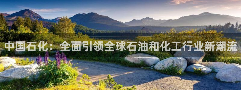 球盟会qmh网址：中国石化：全面引领全球石油和化工行业新潮流