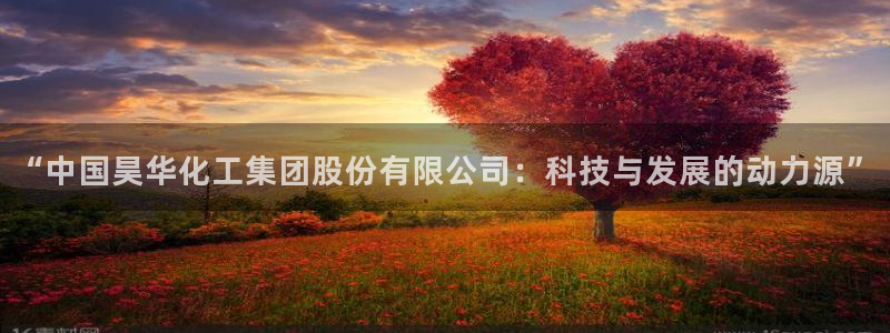 球盟会App：“中国昊华化工集团股份有限公司：科技与发展的动