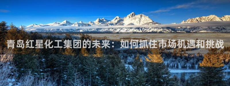 球盟会进不去球员吗：青岛红星化工集团的未来：如何抓住市场机遇