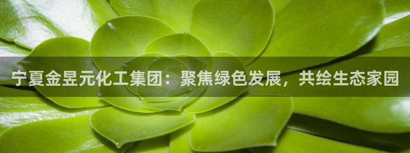 球盟会用的客服聊天是哪个软件