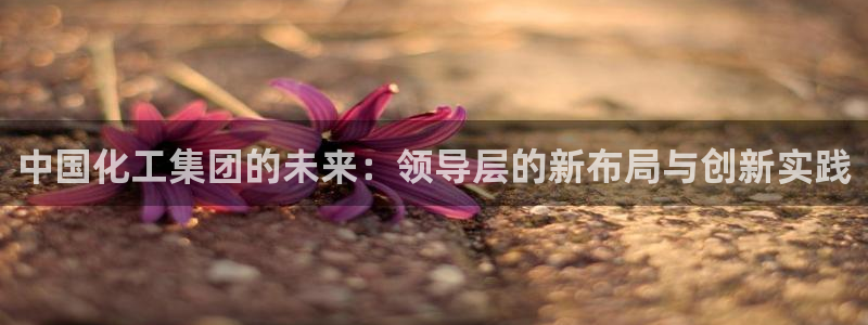 球盟会封禁：中国化工集团的未来：领导层的新布局与创新实践