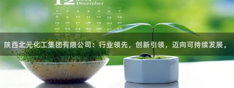 球盟会官方网页登录：陕西北元化工集团有限公司：行业领先，创新