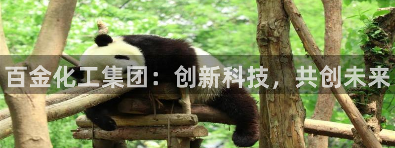 球盟会有限公司怎么样：百金化工集团：创新科技，共创未来