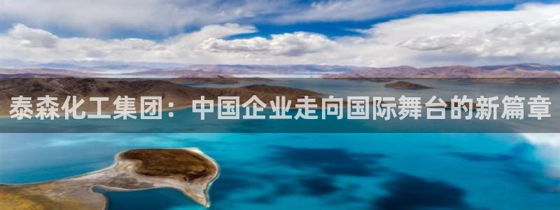 球盟会游戏：泰森化工集团：中国企业走向国际舞台的新篇章