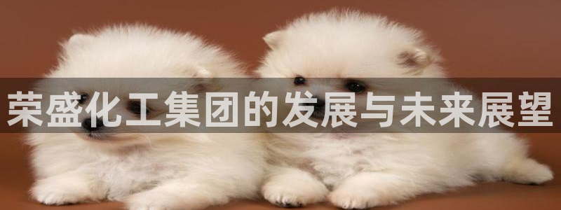 球盟会体验金球奖吗：荣盛化工集团的发展与未来展望