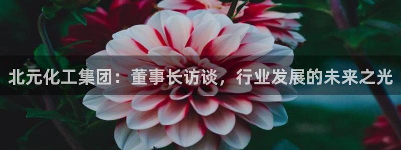 球盟会网页版登陆