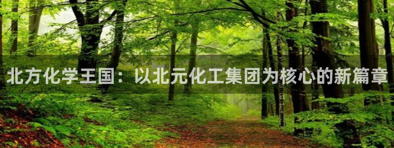 球盟会平台会黑单吗：北方化学王国：以北元化工集团为核心的新篇