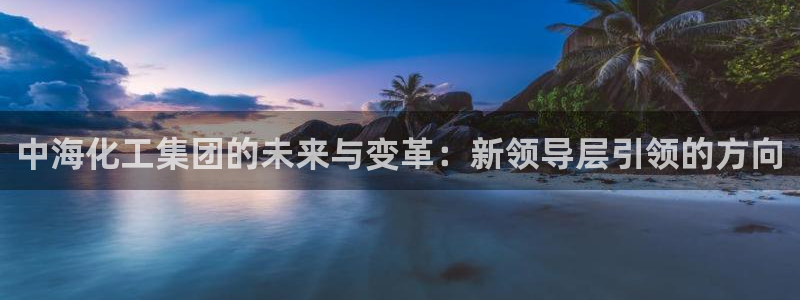球盟会黑款吗还是白款：中海化工集团的未来与变革：新领导层引领