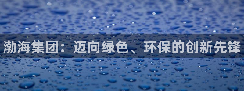 球盟会网页登录：渤海集团：迈向绿色、环保的创新先锋