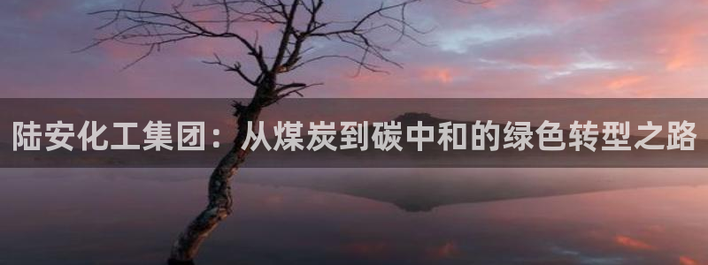 球盟会qm8597：陆安化工集团：从煤炭到碳中和的绿色转型之