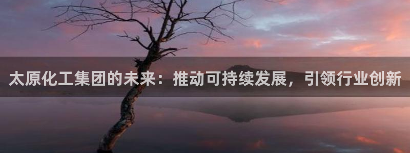 球盟会和中欧会的区别：太原化工集团的未来：推动可持续发展，引