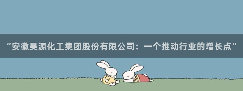 球盟会有没有黑单的活动：“安徽昊源化工集团股份有限公司：一个