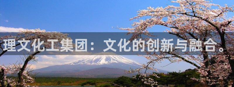球盟会官方最新入口：理文化工集团：文化的创新与融合。