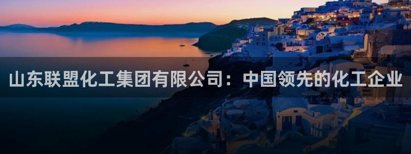 球盟会官网app下载：山东联盟化工集团有限公司：中国领先的化