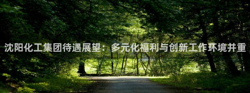 球盟会进不去吗：沈阳化工集团待遇展望：多元化福利与创新工作环